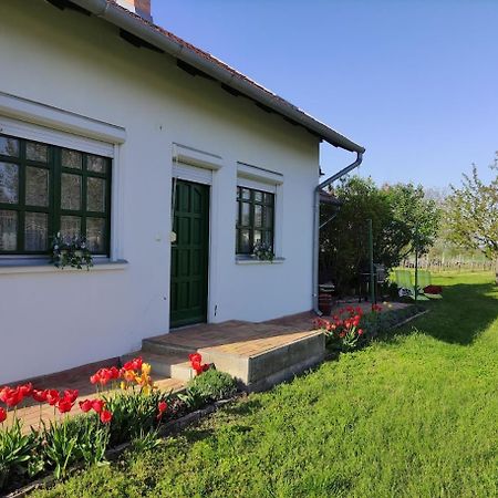 Szolohegyi Haziko - Cottage In The Vineyard Balatonszárszó Eksteriør bilde