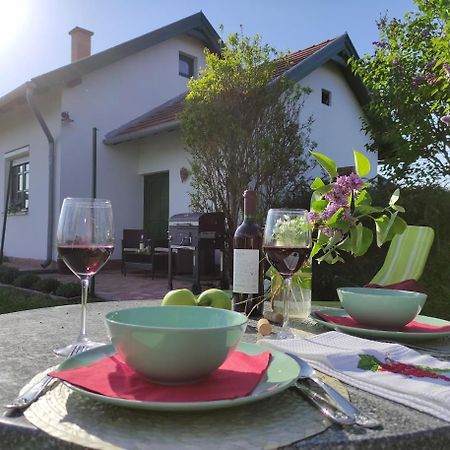 Szolohegyi Haziko - Cottage In The Vineyard Balatonszárszó Eksteriør bilde