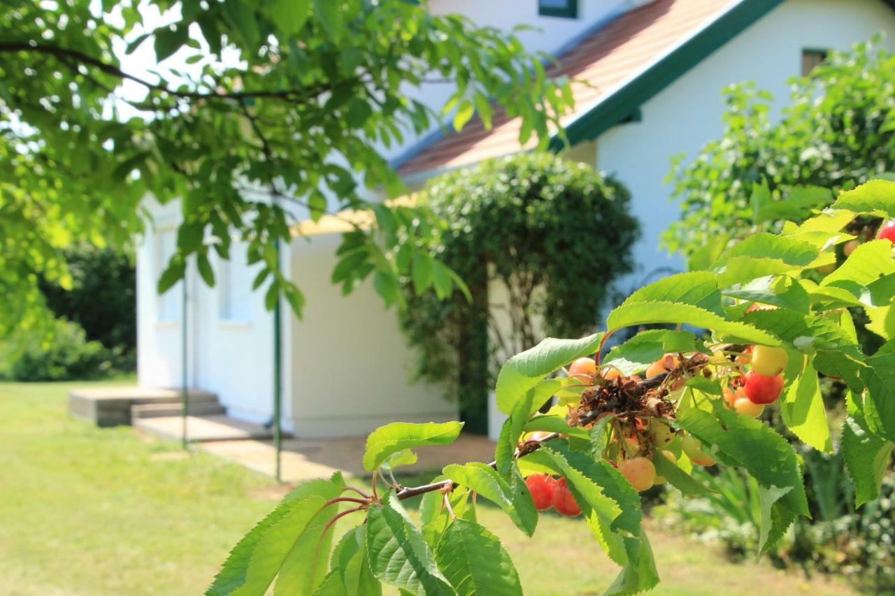 Szolohegyi Haziko - Cottage In The Vineyard Balatonszárszó Eksteriør bilde